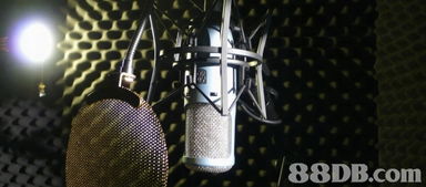 cd的搜尋結果 音樂 p1