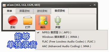 錄屏小將 ocam 全能錄屏、截圖與錄音的得力助手
